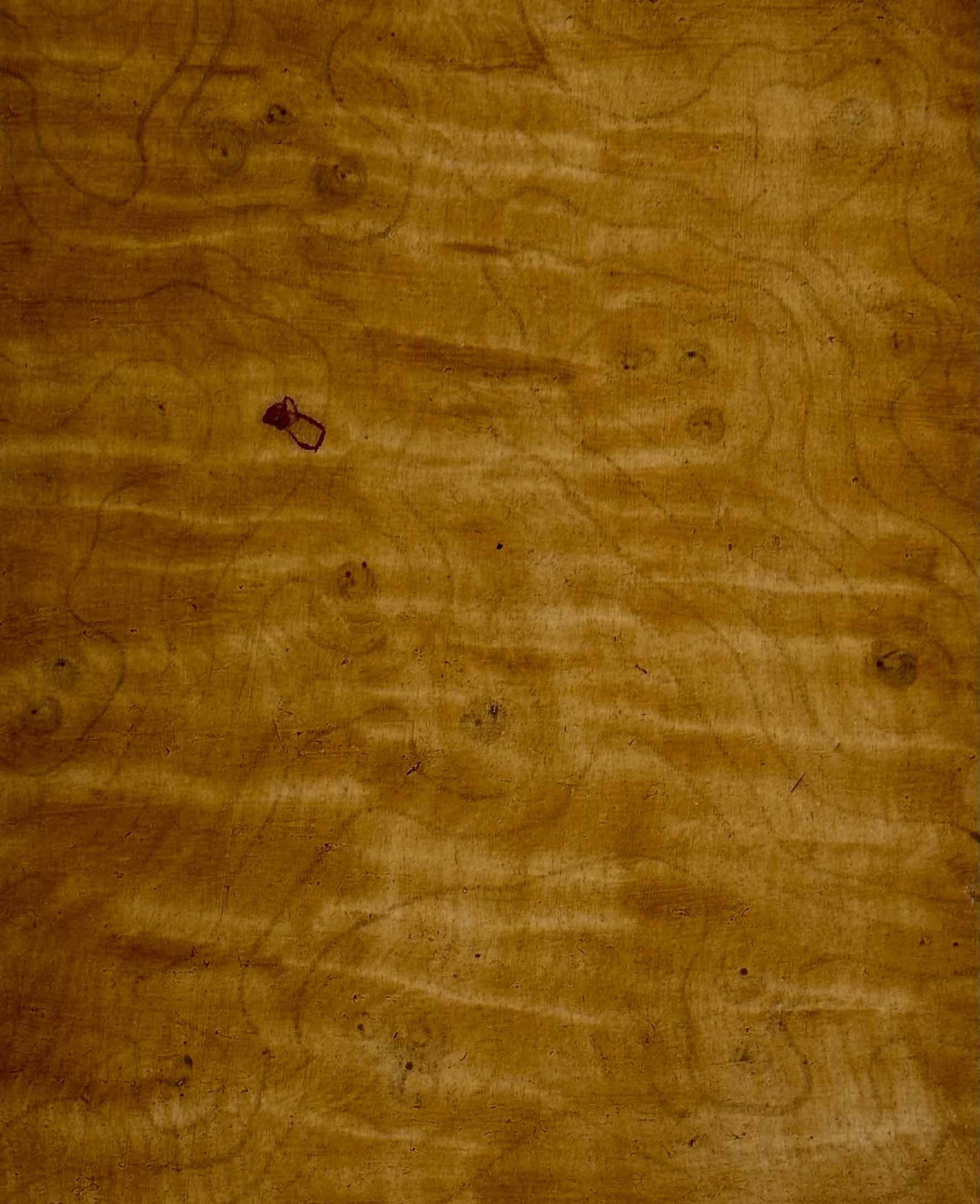 Bird's Eye Maple 1